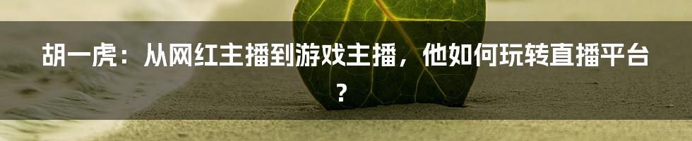 胡一虎：从网红主播到游戏主播，他如何玩转直播平台？