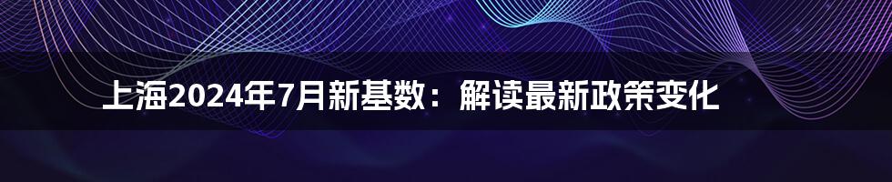 上海2024年7月新基数：解读最新政策变化