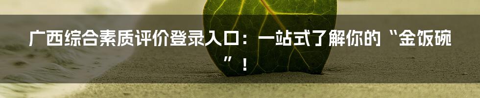 广西综合素质评价登录入口：一站式了解你的“金饭碗”！