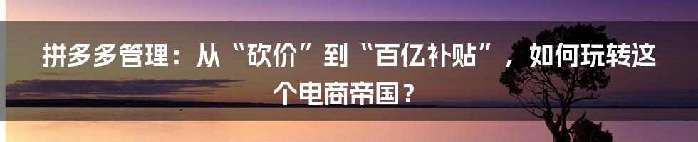 拼多多管理：从“砍价”到“百亿补贴”，如何玩转这个电商帝国？