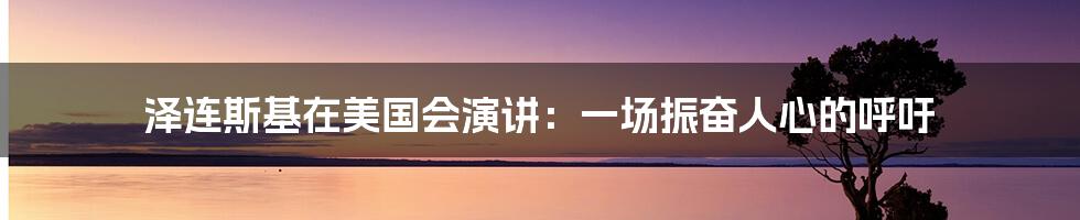 泽连斯基在美国会演讲：一场振奋人心的呼吁