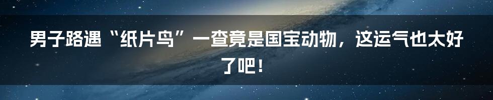 男子路遇“纸片鸟”一查竟是国宝动物，这运气也太好了吧！