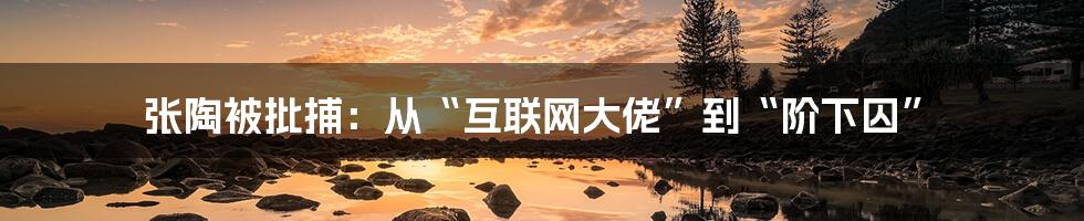 张陶被批捕：从“互联网大佬”到“阶下囚”