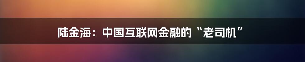 陆金海：中国互联网金融的“老司机”