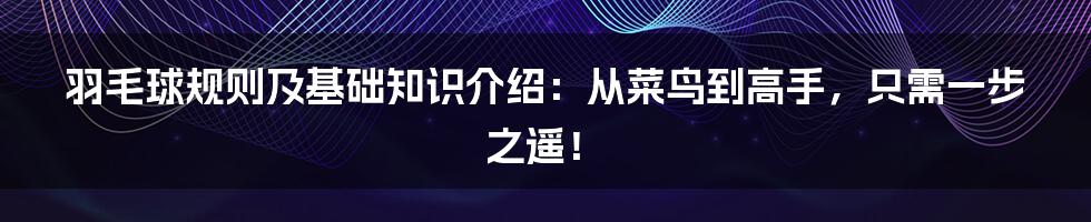 羽毛球规则及基础知识介绍：从菜鸟到高手，只需一步之遥！