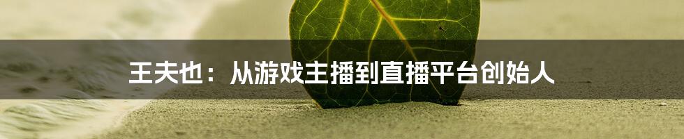 王夫也：从游戏主播到直播平台创始人