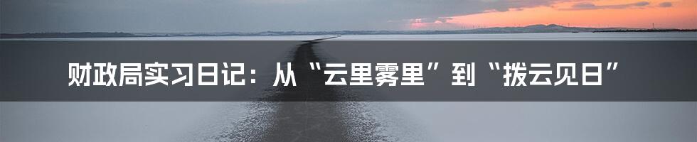 财政局实习日记：从“云里雾里”到“拨云见日”