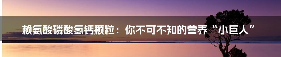 赖氨酸磷酸氢钙颗粒：你不可不知的营养“小巨人”