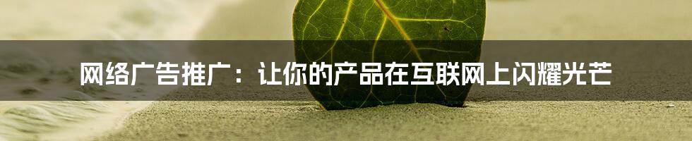 网络广告推广：让你的产品在互联网上闪耀光芒