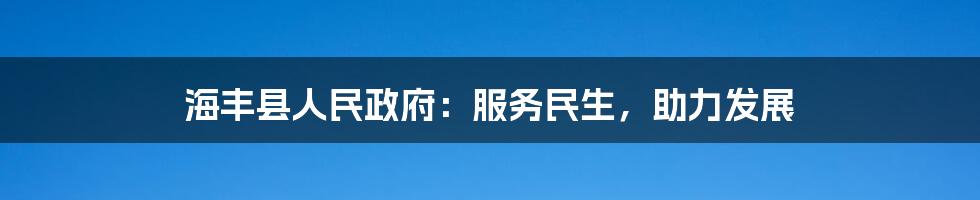 海丰县人民政府：服务民生，助力发展