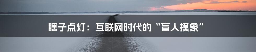 瞎子点灯：互联网时代的“盲人摸象”