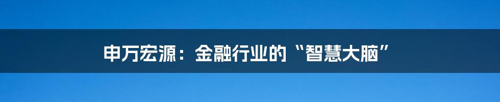 申万宏源：金融行业的“智慧大脑”