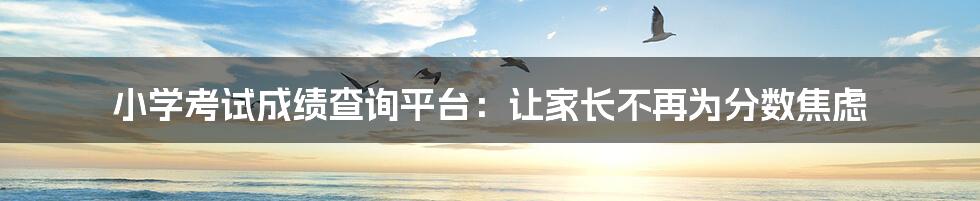 小学考试成绩查询平台：让家长不再为分数焦虑