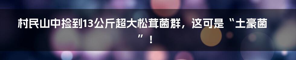 村民山中捡到13公斤超大松茸菌群，这可是“土豪菌”！