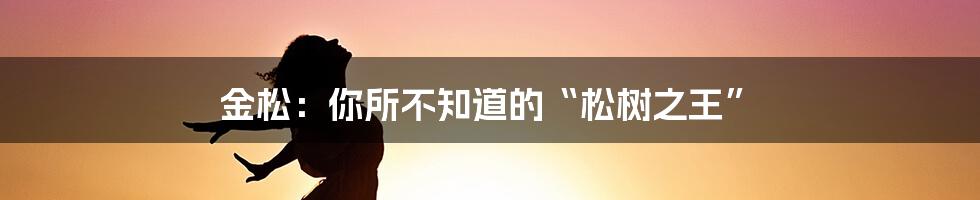 金松：你所不知道的“松树之王”