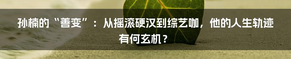 孙楠的“善变”：从摇滚硬汉到综艺咖，他的人生轨迹有何玄机？