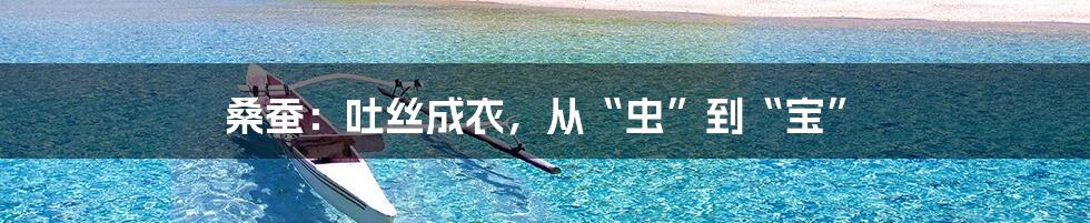 桑蚕：吐丝成衣，从“虫”到“宝”