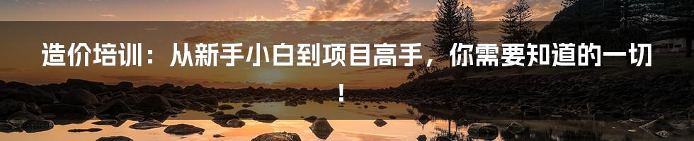 造价培训：从新手小白到项目高手，你需要知道的一切！