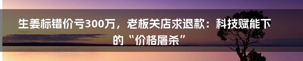 生姜标错价亏300万，老板关店求退款：科技赋能下的“价格屠杀”