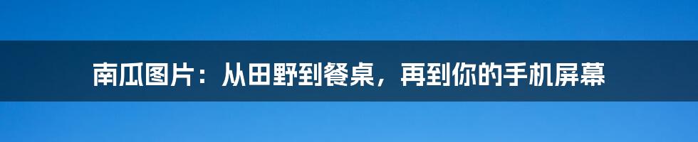 南瓜图片：从田野到餐桌，再到你的手机屏幕