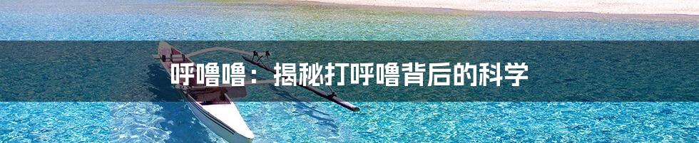 呼噜噜：揭秘打呼噜背后的科学