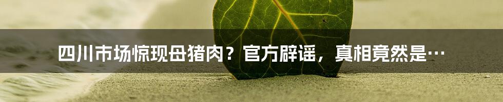 四川市场惊现母猪肉？官方辟谣，真相竟然是…