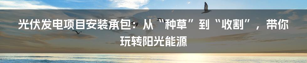 光伏发电项目安装承包：从“种草”到“收割”，带你玩转阳光能源