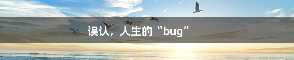 误认，人生的“bug”