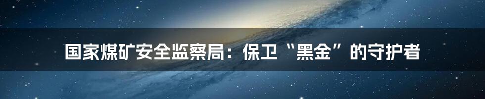 国家煤矿安全监察局：保卫“黑金”的守护者