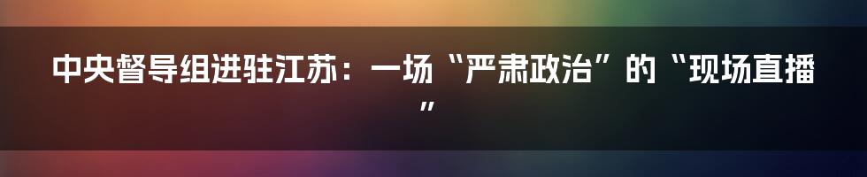 中央督导组进驻江苏：一场“严肃政治”的“现场直播”