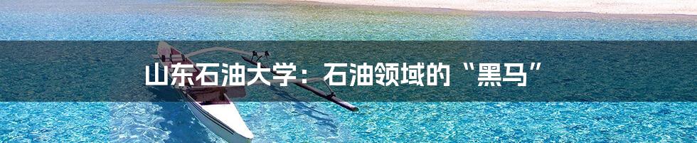 山东石油大学：石油领域的“黑马”