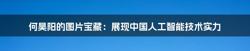 何昊阳的图片宝藏：展现中国人工智能技术实力