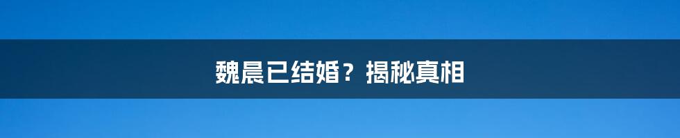 魏晨已结婚？揭秘真相