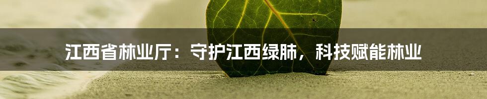 江西省林业厅：守护江西绿肺，科技赋能林业