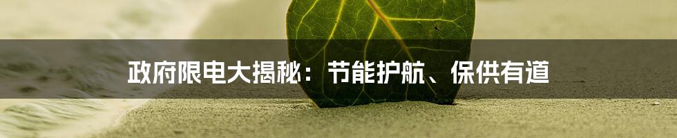 政府限电大揭秘：节能护航、保供有道