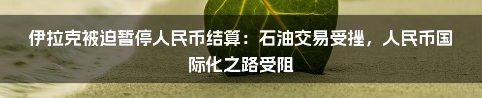 伊拉克被迫暂停人民币结算：石油交易受挫，人民币国际化之路受阻