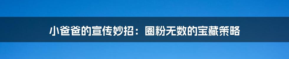 小爸爸的宣传妙招：圈粉无数的宝藏策略