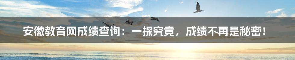 安徽教育网成绩查询：一探究竟，成绩不再是秘密！