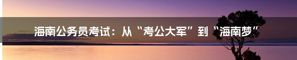 海南公务员考试：从“考公大军”到“海南梦”