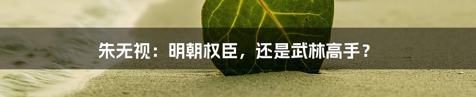 朱无视：明朝权臣，还是武林高手？