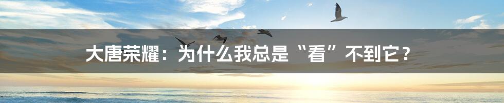 大唐荣耀：为什么我总是“看”不到它？