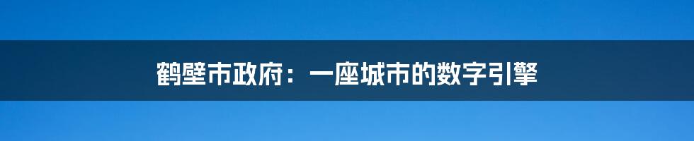 鹤壁市政府：一座城市的数字引擎