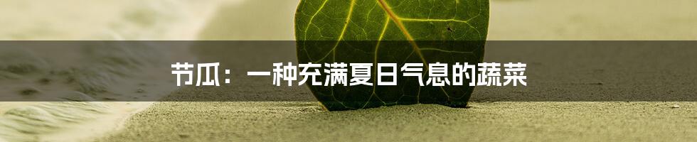 节瓜：一种充满夏日气息的蔬菜