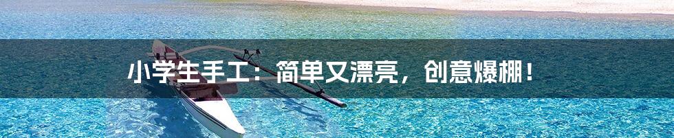 小学生手工：简单又漂亮，创意爆棚！