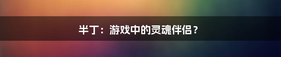 半丁：游戏中的灵魂伴侣？