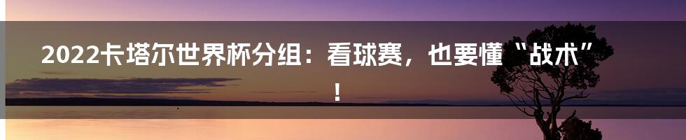 2022卡塔尔世界杯分组：看球赛，也要懂“战术”！