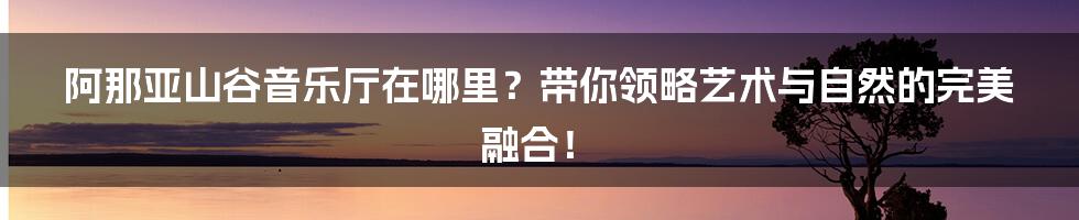 阿那亚山谷音乐厅在哪里？带你领略艺术与自然的完美融合！