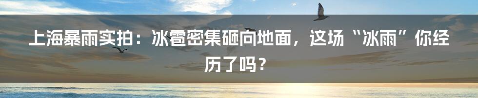 上海暴雨实拍：冰雹密集砸向地面，这场“冰雨”你经历了吗？