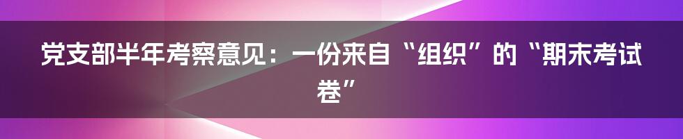 党支部半年考察意见：一份来自“组织”的“期末考试卷”