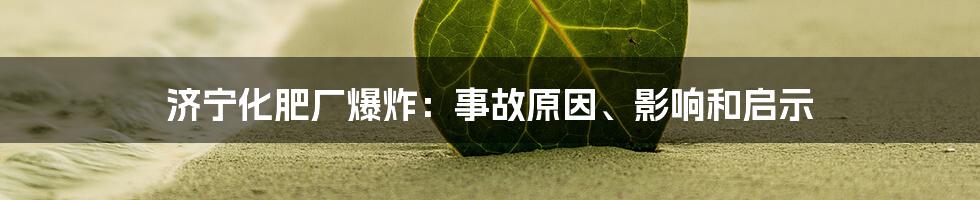 济宁化肥厂爆炸：事故原因、影响和启示